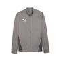Puma teamGOAL Training Jacket - grau