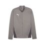 Puma teamGOAL Training Jacket - grau