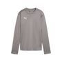 Puma teamGOAL Training Sweat Wmn - grau