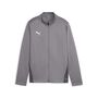 Puma teamGOAL Training Jacket Jr - grau