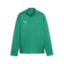 Puma teamGOAL Training Jacket Jr - gr�n