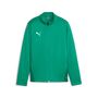 Puma teamGOAL Training Jacket Jr - gr�n