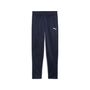 Puma teamGOAL Training Pant Jr - blau