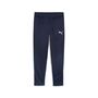 Puma teamGOAL Training Pant - blau