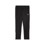 Puma teamGOAL Training Pant Wmn - schwarz
