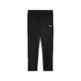 Puma teamGOAL Training Pant Wmn - schwarz