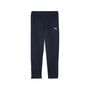 Puma teamGOAL Training Pant Wmn - blau