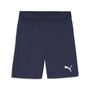 Puma teamGOAL Training Short - blau