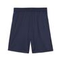Puma teamGOAL Training Short - blau