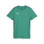 Puma teamGOAL Jersey Wmn - gr�n
