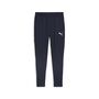 Puma teamGOAL Slim Training Pants - blau