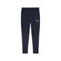 Puma teamGOAL Slim Training Pants - blau
