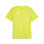 Puma teamFINAL Training Jersey - gr�n