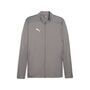 Puma teamFINAL Training Jacket - grau