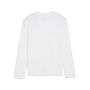 Puma Teamgoal Baselayer Tee Ls - puma white-feather gray