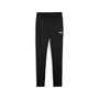 Puma teamGOAL Slim Training Pants Jr - schwarz