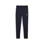 Puma teamGOAL Slim Training Pants Jr - blau