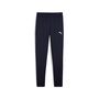 Puma teamGOAL Slim Training Pants Jr - blau