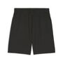 Puma teamFINAL Training Shorts - schwarz