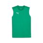 Puma teamFINAL Training Jersey SL - gr�n