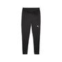 Puma teamFINAL Training Pants - schwarz