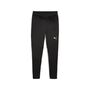 Puma teamFINAL Training Pants - schwarz