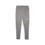 Puma teamFINAL Training Pants - grau