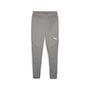 Puma teamFINAL Training Pants - grau