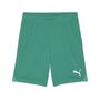 Puma teamGOAL Shorts - gr�n