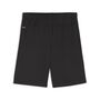 Puma teamGOAL Shorts - schwarz
