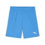 Puma teamGOAL Shorts - blau