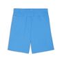 Puma teamGOAL Shorts - blau