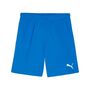 Puma teamGOAL Shorts - blau