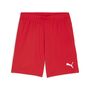Puma teamGOAL Shorts - rot