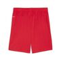 Puma teamGOAL Shorts - rot