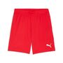 Puma teamGOAL Shorts - rot
