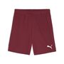 Puma teamGOAL Shorts - rot