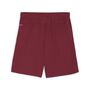 Puma teamGOAL Shorts - rot