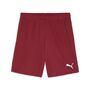 Puma teamGOAL Shorts - rot