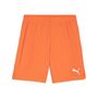 Puma teamGOAL Shorts - orange