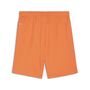 Puma teamGOAL Shorts - orange