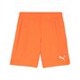 Puma teamGOAL Shorts - orange