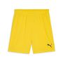 Puma teamGOAL Shorts - gelb