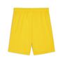 Puma teamGOAL Shorts - gelb