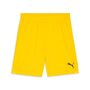 Puma teamGOAL Shorts - gelb