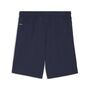 Puma teamGOAL Shorts - blau