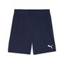 Puma teamGOAL Shorts - blau