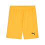 Puma teamGOAL Shorts - orange