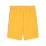 Puma teamGOAL Shorts - orange