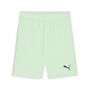Puma teamGOAL Shorts - gr�n